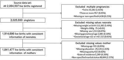 Maternal Risk Factors for Small-for-Gestational-Age Newborns in Mexico: Analysis of a Nationwide Representative Cohort